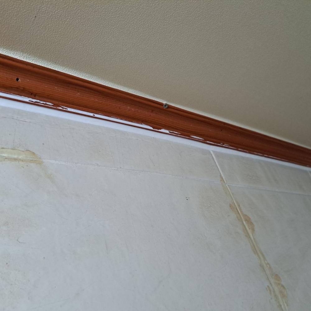 가정집 화장실 천장 실리콘 작업